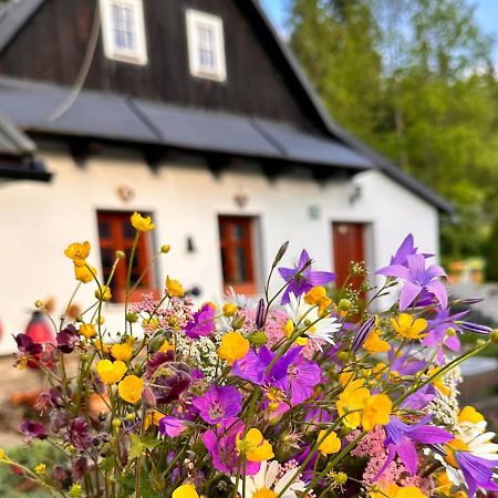 Rozpravkovy Domcek Zvoncek Villa Donovaly Buitenkant foto