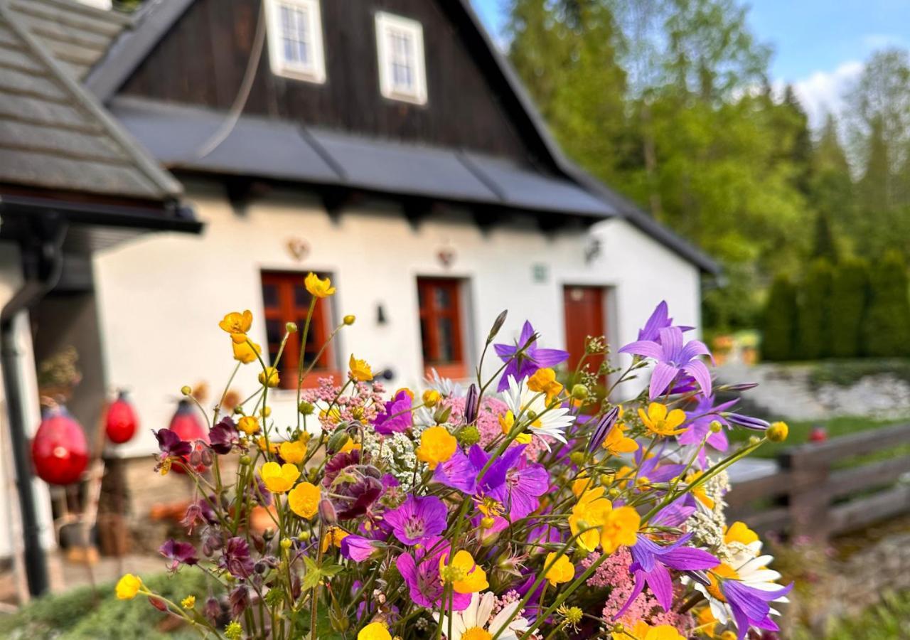 Rozpravkovy Domcek Zvoncek Villa Donovaly Buitenkant foto